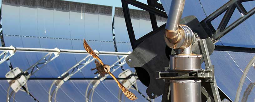  NOMAC, Our Operations, NOMAC Globally, Bokpoort CSP IPP-Gallery Image5