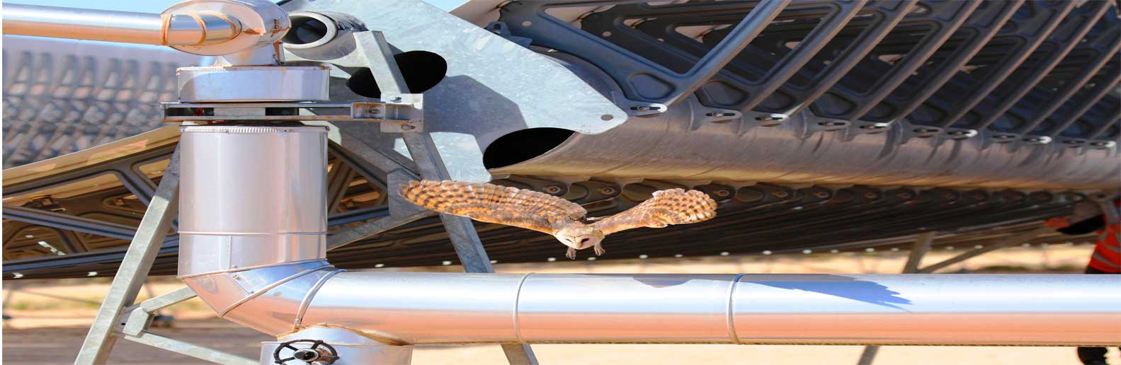 NOMAC, Our Operations, NOMAC Globally, Bokpoort CSP IPP-Banner