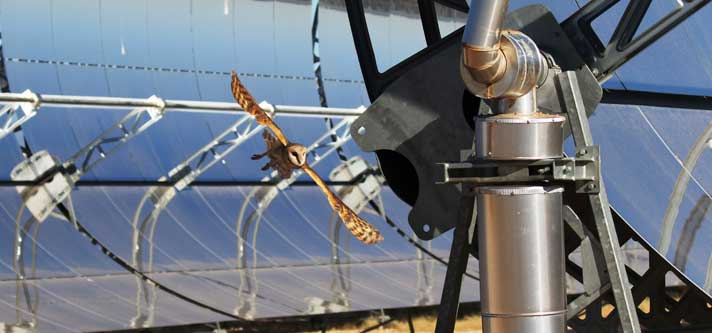 NOMAC, HSSE, Environmental Sustainability